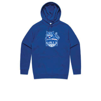 CSFC - Print Hoodie