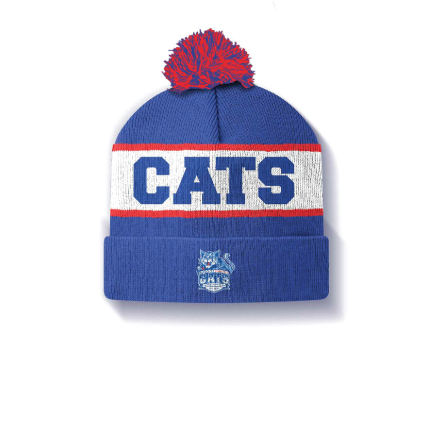 CSFC - Custom Beanie