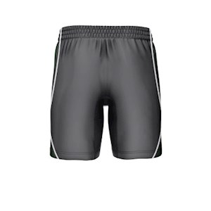 Port FC 5 Inch Training Shorts