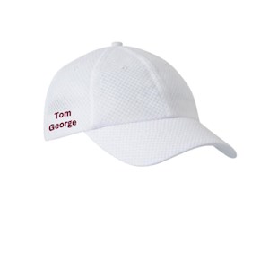 Project 160 Cap 2026