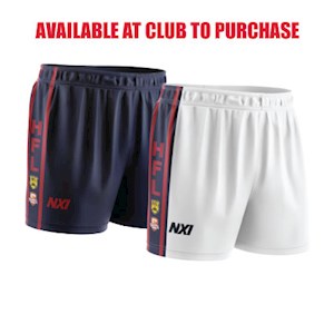 UDFC Match Shorts