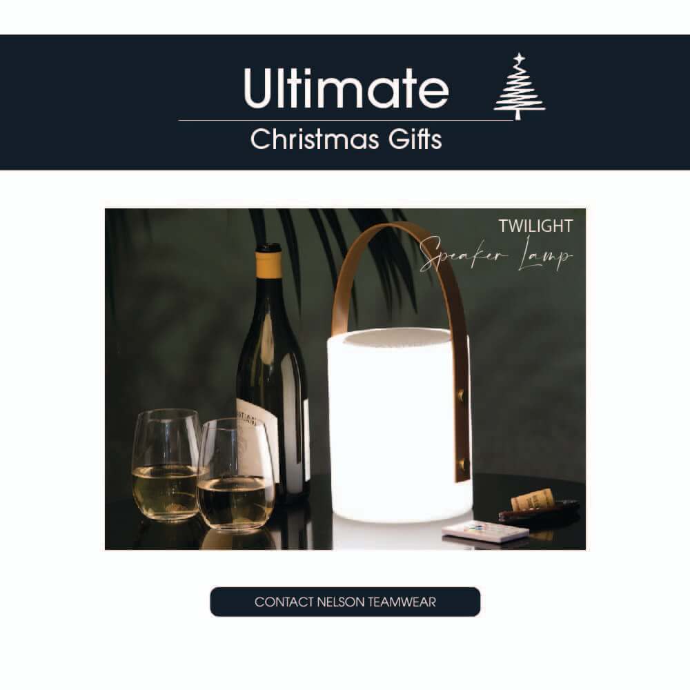 Ultimate Xmas Gift - Speaker Lamp